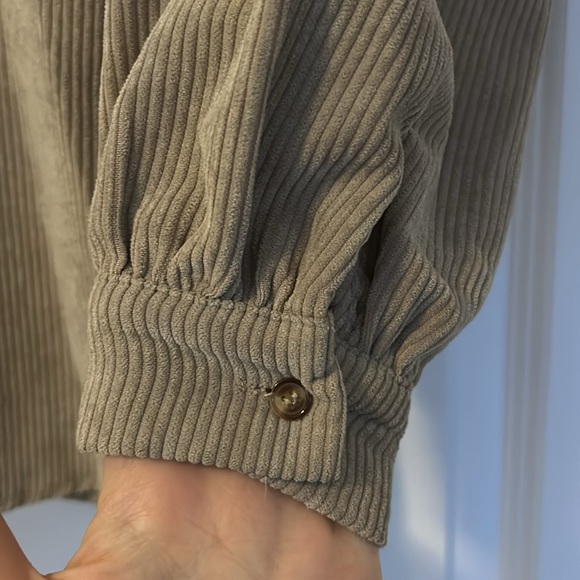 Beige corduroy shirt with brown buttons - Picture 5 of 6